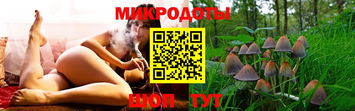 Псилоцибиновые грибы прущие грибы  Вход с VPN  Реж 
